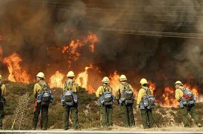 Около 600 пожарных пытаются потушить лесной пожар на западе Канады