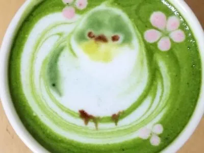 В Японии художник рисует на латте удивительных птиц