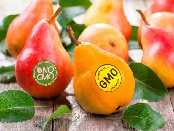 В Евросоюзе хотят ослабить запрет на использование ГМО