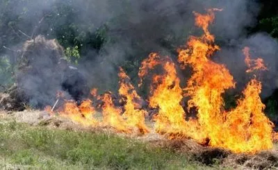 По Украине объявили самый высокий уровень пожарной опасности