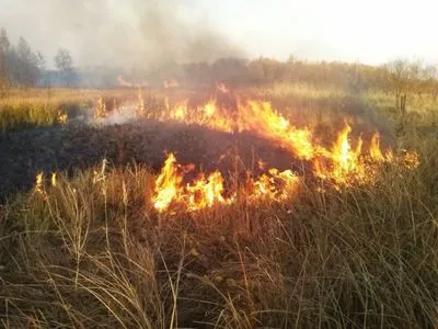 С начала года произошло более 23 тыс. пожаров на открытых территориях