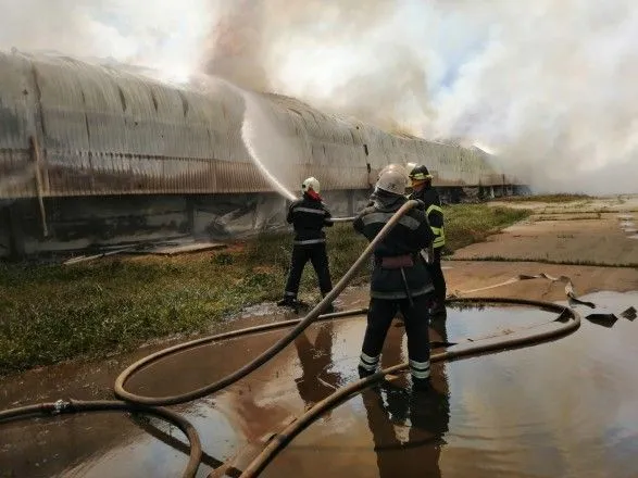У пожежі на птахофабриці під Києвом згоріли близько 150 тис. курей