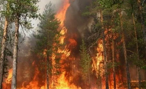 В Ивано-Франкловской области объявили о повышенной пожарной опасности