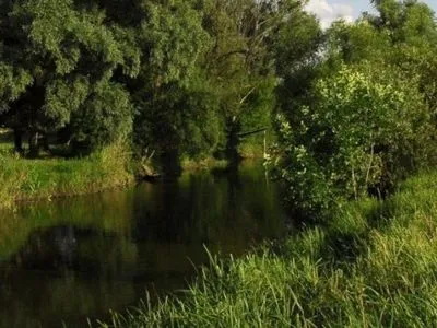 После утечки химикатов в реке Рось запретят купаться