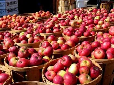 Супрун заперечила наявність заліза у яблуках