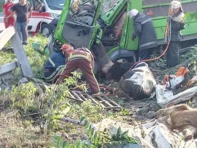 Под Киевом в ДТП попал грузовик с коровами
