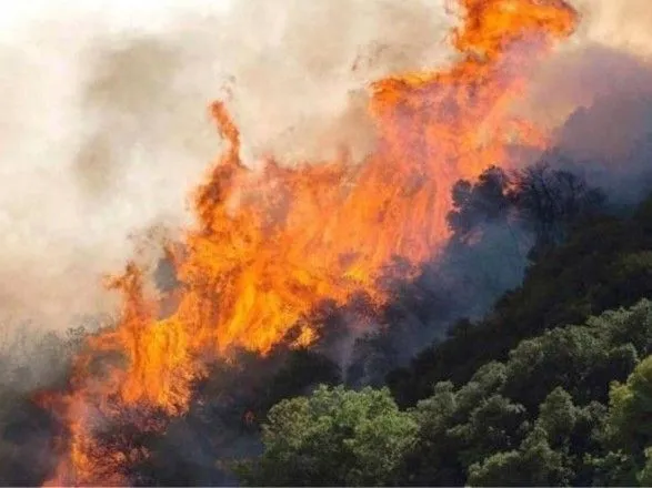 На западе Грузии горит лес