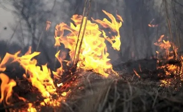 На Одещині горів ангар