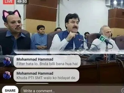 Пакистанский министр в ходе трансляции пресс-конференции предстал в образе кота
