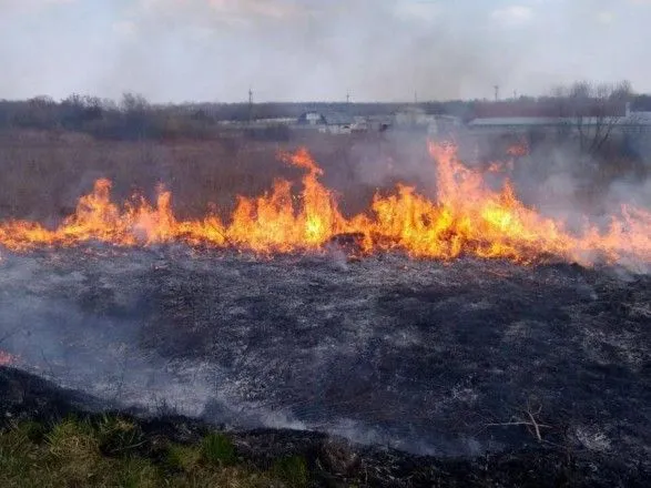 До конца выходных в Украине будет преобладать чрезвычайная пожарная опасность