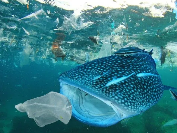 На встрече G20 договорились о борьбе с пластиком в океанах
