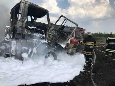 В Николаевской области на дороге загорелась фура с зерном
