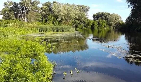 Забруднення річки Рось: жителі села на Вінниччині залишилися без питної води