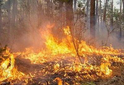 В Україні надзвичайна пожежонебезпека