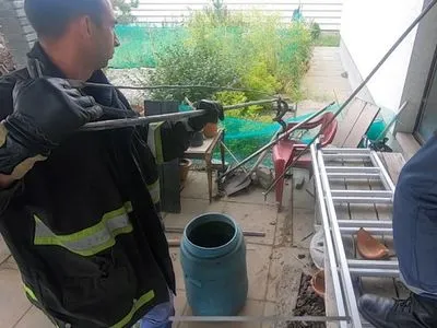В Днепропетровской области во дворе дома обнаружили змею