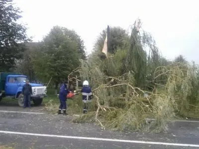На Вінниччині і Житомирщині через негоду знеструмлено 65 населених пунктів