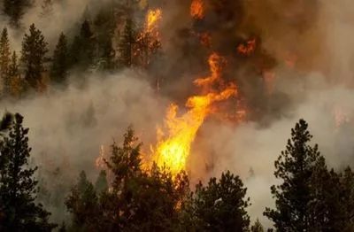 Киевлян предупредили о чрезвычайной пожароопасности