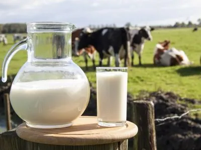 В Минагрополитики назвали требования к качеству молока после 2020 года