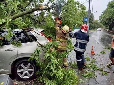 Последствия непогоды: один человек погиб на Киевщине, в Прикарпатье свергнут 160 деревьев