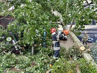 Наслідки негоди в Києві: деревами завалило 15 авто, двох осіб госпіталізували