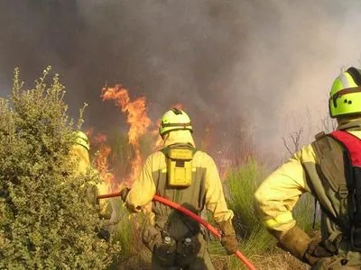 Лесной пожар в Испании стала одной из крупнейших за 20 лет