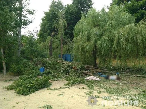 На базе отдыха под Харьковом дерево убило женщину