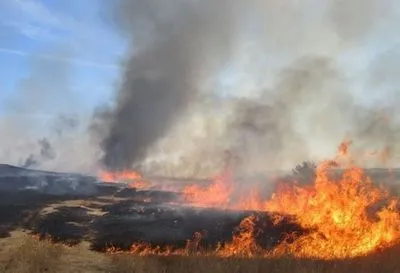 В Донецкой области в результате пожара уничтожено 50 га пшеницы и ячменя