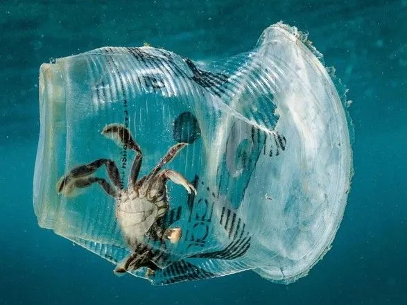 Лідери G20 домовляться припинити викид пластика в океан до 2050 року