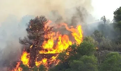 Українцям радять не їздити до Каталонії через лісові пожежі