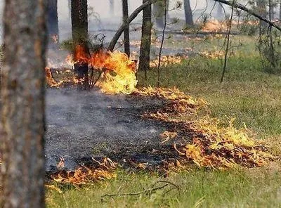 Украинцев предупредили про самый высокий уровень пожарной опасности