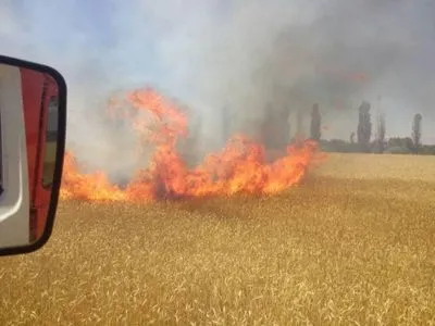 На Миколаївщині з різницею у півгодини загорілись одразу два поля з пшеницею