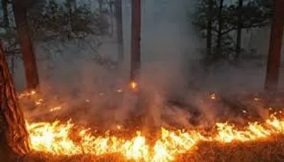 В Україні зберігається великий рівень пожежної небезпеки