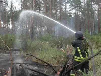 Біля Станиці Луганської загасили пожежу у замінованому лісі