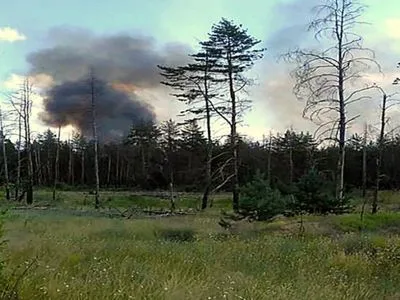 Район лісу, який загорівся поблизу Станиці Луганської, почали гасити