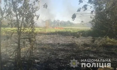 В камышах в Харьковской области нашли обгоревший труп мужчины