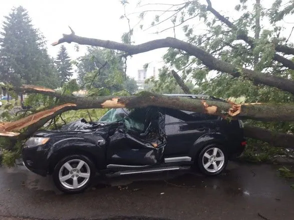 Два человека госпитализированы из-за падения дерева на автомобиль