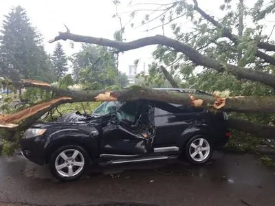 Два человека госпитализированы из-за падения дерева на автомобиль