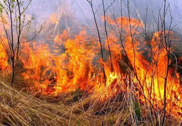 В течении выходных в Украине сохранится повышенный уровень пожарной опасности