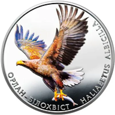 НБУ вводит в обращение памятные монеты "Орлан белохвост"