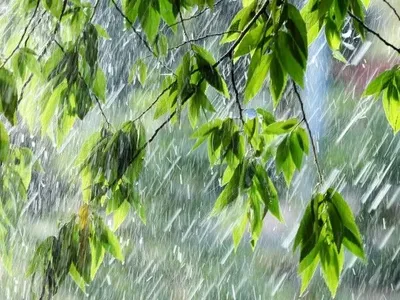 Сьогодні в Україні очікуються значні дощі