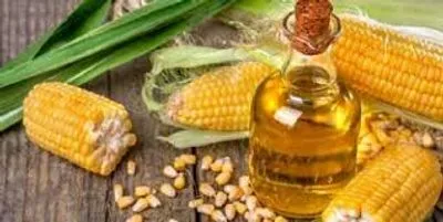 Україна є основним постачальником кукурудзи та соняшникової олії до Китаю