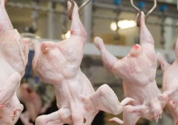 Скандал на світовому ринку курятини: Бразилія поставляла Великій Британії "небезпечний" продукт