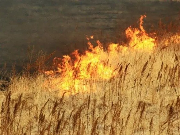В Украине самый высокий уровень пожарной опасности