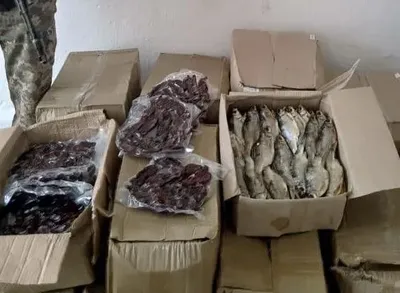 На кордоні з РФ затримали чверть тонни в’яленої вобли та ікри