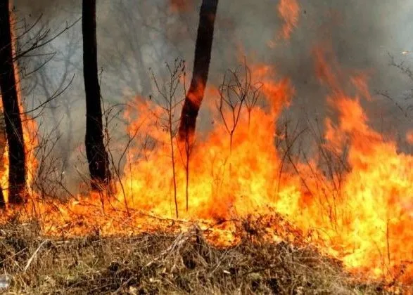 В Україні оголосили надзвичайний рівень пожежонебезпеки