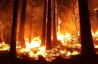 На Сардинии власти начали эвакуацию из-за лесных пожаров