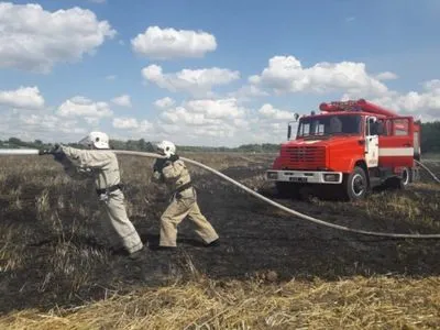 На Київщині згоріло 15 га поля ячменю