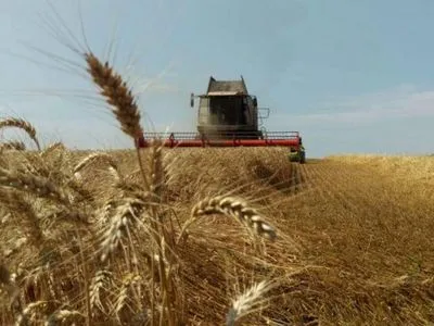 Аграрії зібрали понад 50% врожаю зернових
