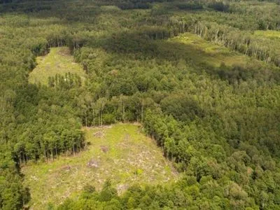 Вырубка леса в Харьковской области: Зеленский совершил облет угодий