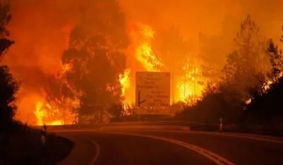 Українцям радять не їздити до центральної Португалії через лісові пожежі